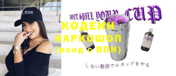 молекула духа Весьегонск