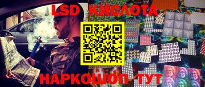 индика Лесосибирск