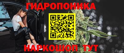 индика Лесосибирск