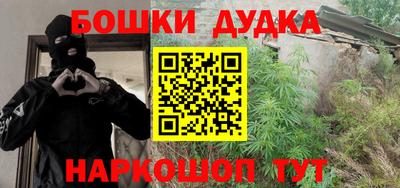 индика Лесосибирск