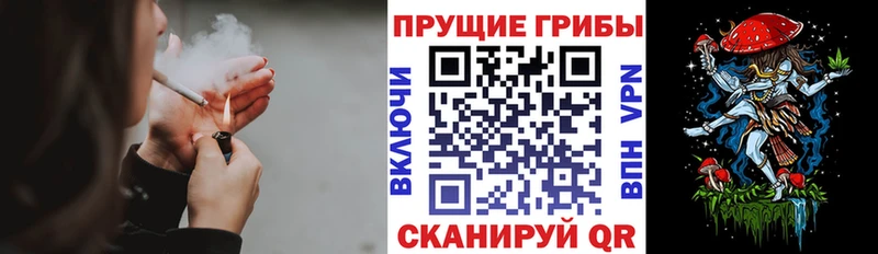 где купить наркоту  Зима  Галлюциногенные грибы мицелий 