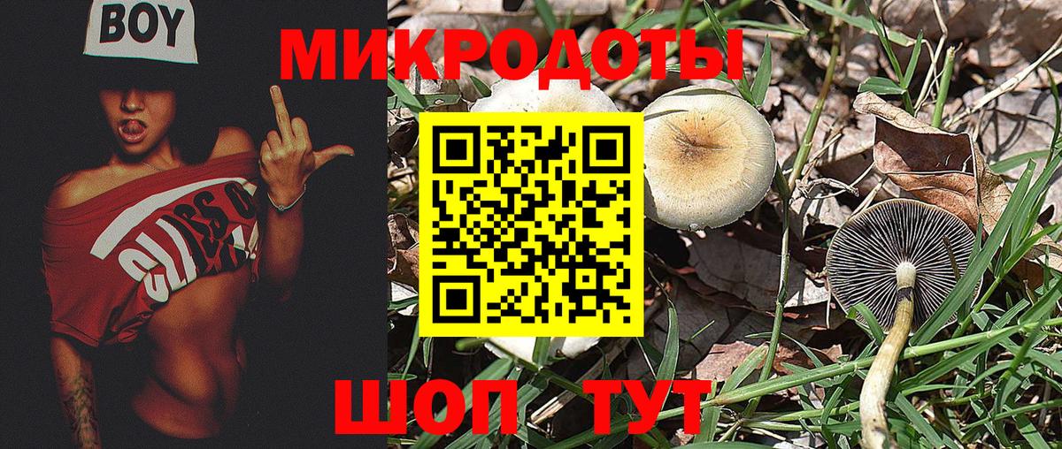 Галлюциногенные грибы Psilocybine cubensis Зима