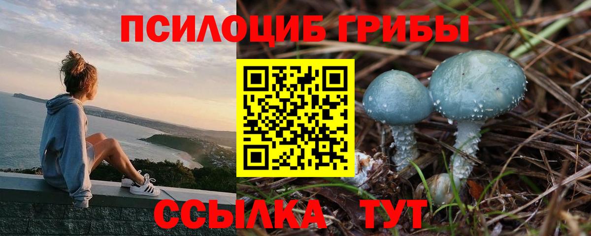 Зима  Псилоцибиновые грибы ЛСД  Псилоцибиновые грибы мухоморы  Вход с VPN 